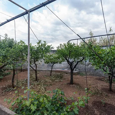 Masseria La Presentina Jaktstuga Monopoli