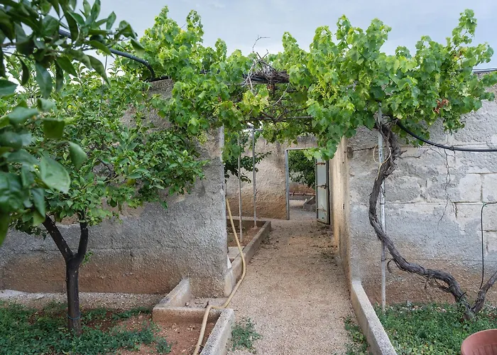 Masseria La Presentina Alojamento de Turismo Selvagem