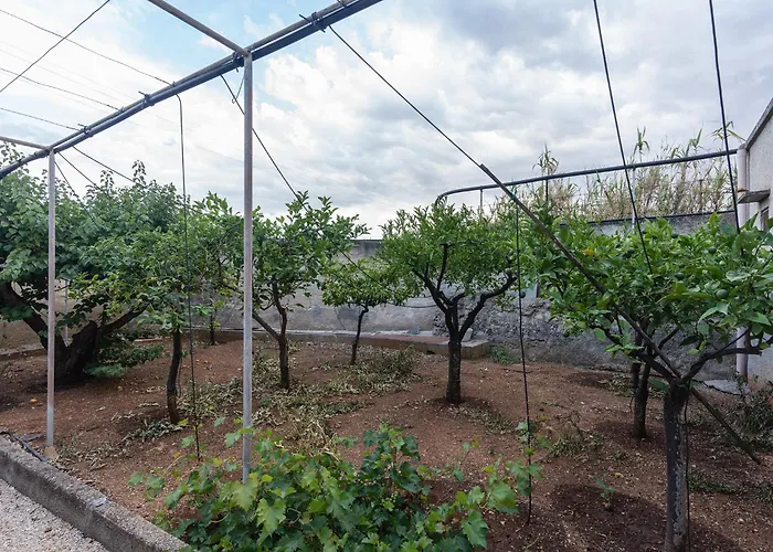 Masseria La Presentina Alojamento de Turismo Selvagem Monopoli